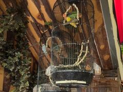 -西西里轰趴日租聚会别墅·团建拓展