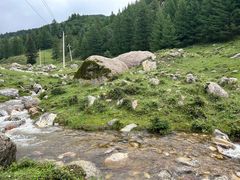 -芦芽山旅游度假区
