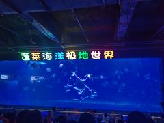 -蓬莱欧乐堡海洋极地世界