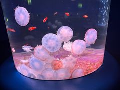 -欢乐海岸海洋奇梦馆