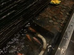 -新盈光·心院(嘉恒广场店)