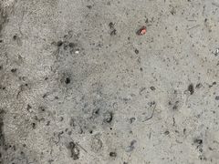 -北海金海湾红树林生态旅游区