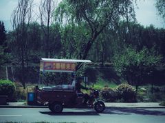 -洨河生态公园