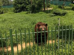-秦皇岛野生动物园