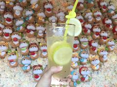 柠檬苏打-柴犬高等学院·狗咖·柴犬售卖·宠物训练