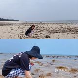 北海➕涠洲岛🌊最全旅游攻略‼️还可以看到鲸鱼🐳