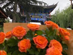 -丽江古城第一观景台