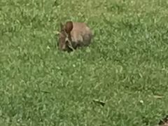 -威勒比开放式动物园