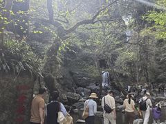 -石台牯牛降景区