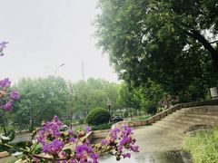 -玲珑塔公园