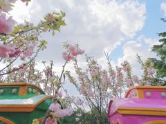 -观澜湖生态运动公社