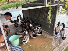 -溪悦渔庄(九龙湖店)