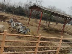 -西安秦岭野生动物园