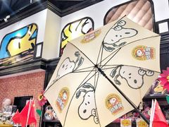 -史努比缤纷世界