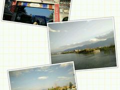 -才村湿地公园