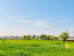 -上海山野camping·户外天幕烧烤·团建拓展营地