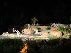 -禅宗少林·音乐大典