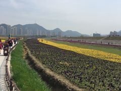 -上虞天玥大酒店