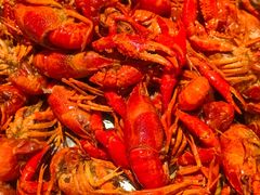 -海岛八号龙虾烧烤田鸡(蓝天路总店)