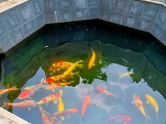 -西安市广仁寺