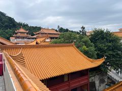 -深圳仙湖植物园