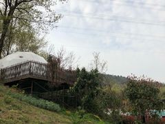 -汤山温泉房车营地 茶温泉