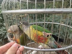 -南宫五洲植物乐园