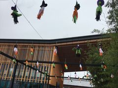 -田园东方蜜桃村的田野营地