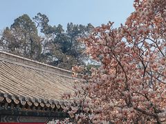 -潭柘寺景区