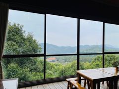 -雁南飞茶田景区