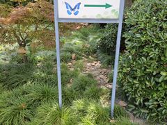 -上海昆虫博物馆