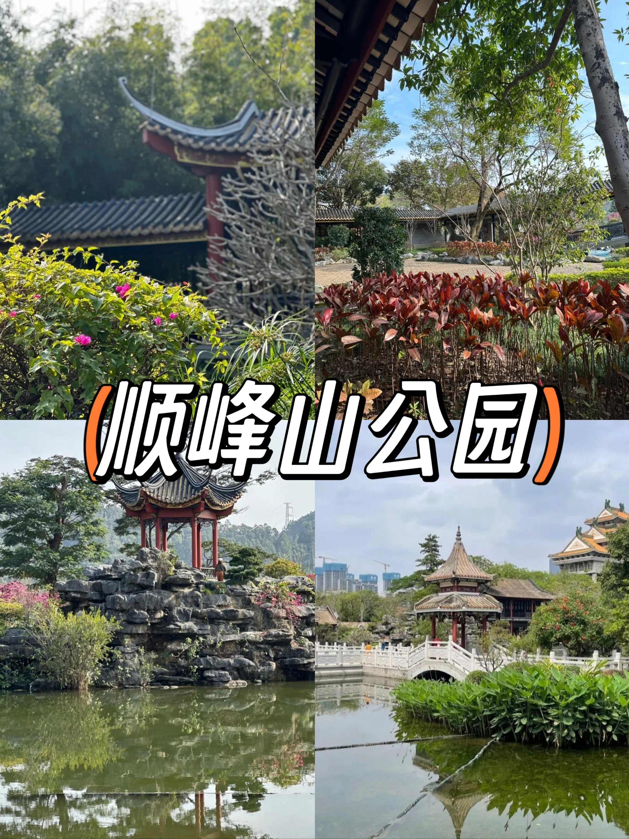 顺峰山公园简介图片