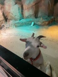 -酷嗒动物文化乐园(cutezoo西溪乐天城店)