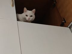 -北京恒爱动物医院(清景园分院)