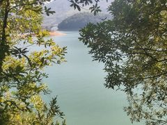 -广州市流溪河国家森林公园