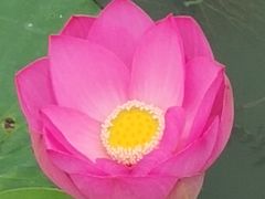 -天津东丽湖风景区