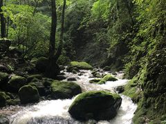 -牛背梁国家森林公园