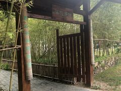 -田园东方蜜桃村的田野营地