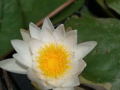 -白塘生态植物园