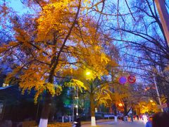 -四川大学(华西校区)