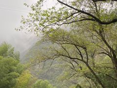 -水墨汀溪风景区