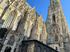 -斯蒂芬主教座堂(Stephansdom)
