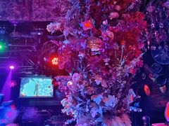 -滨海欢乐昔唐酒吧(财富星座店)