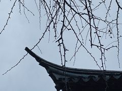 -西园戒幢律寺