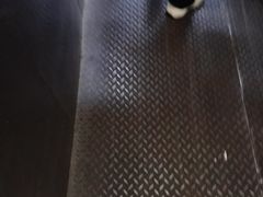 -金华安大酒楼·老牌潮菜·粤式茶点(东方国际店)