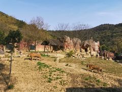 -无锡动物园·太湖欢乐园