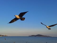 -幸福公园-海滨北路停车场