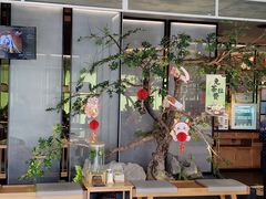 -五月花商业广场(中山五路店)