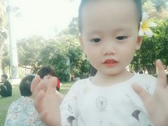 -贝壳梦幻世界