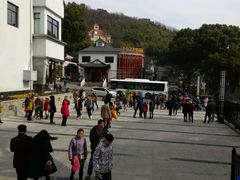 -上海佘山国家森林公园西佘山园